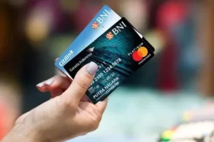Types of BNI Credit Cards